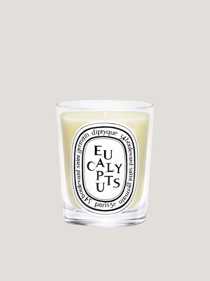 Candle Eucalyptus 190g