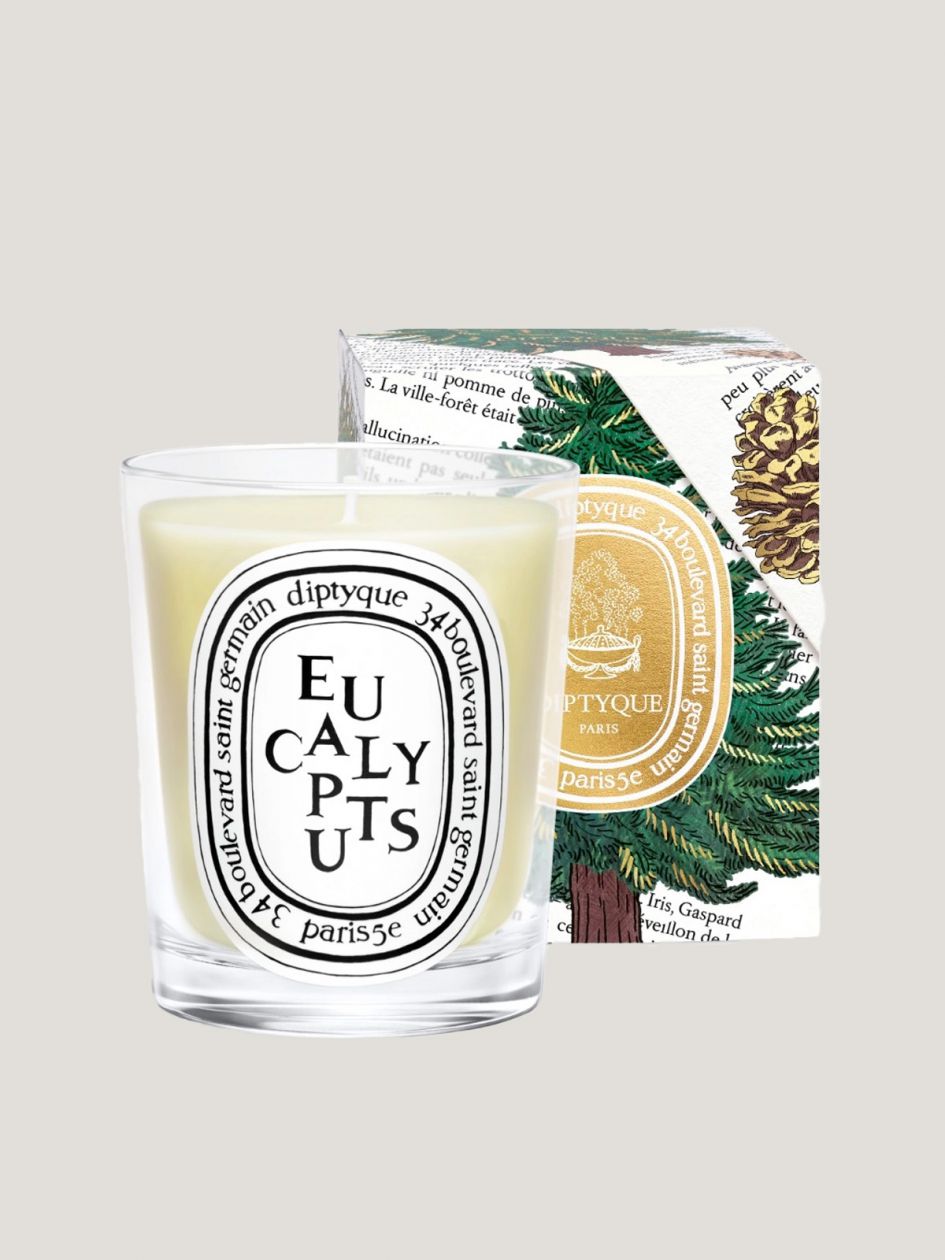 Candle Eucalyptus 190g