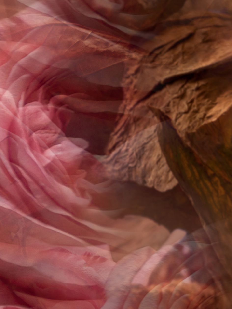 Rosa Tabacco Candle 500Gr Onxy Vase