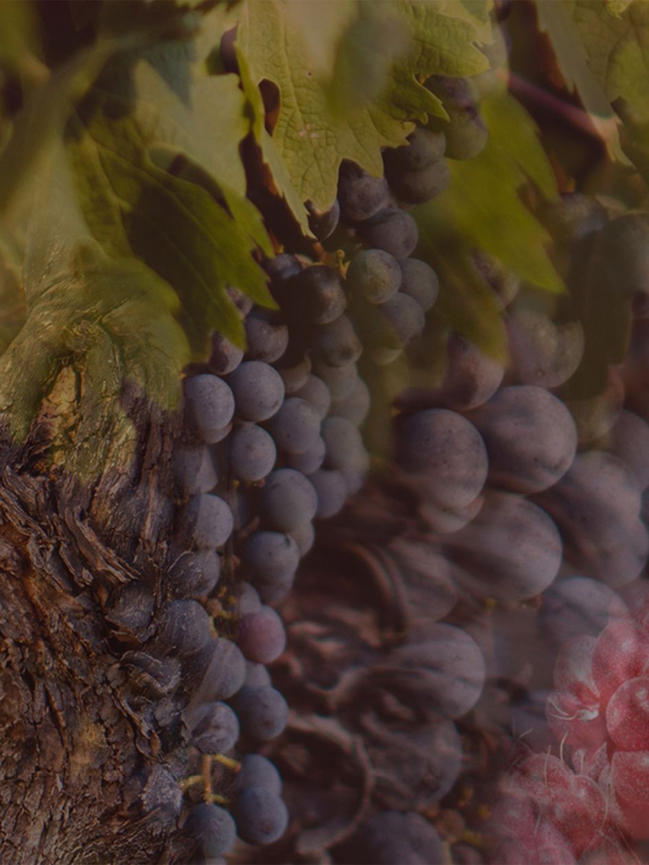 Rosso Nobile Candle 200Gr Red Tourmaline