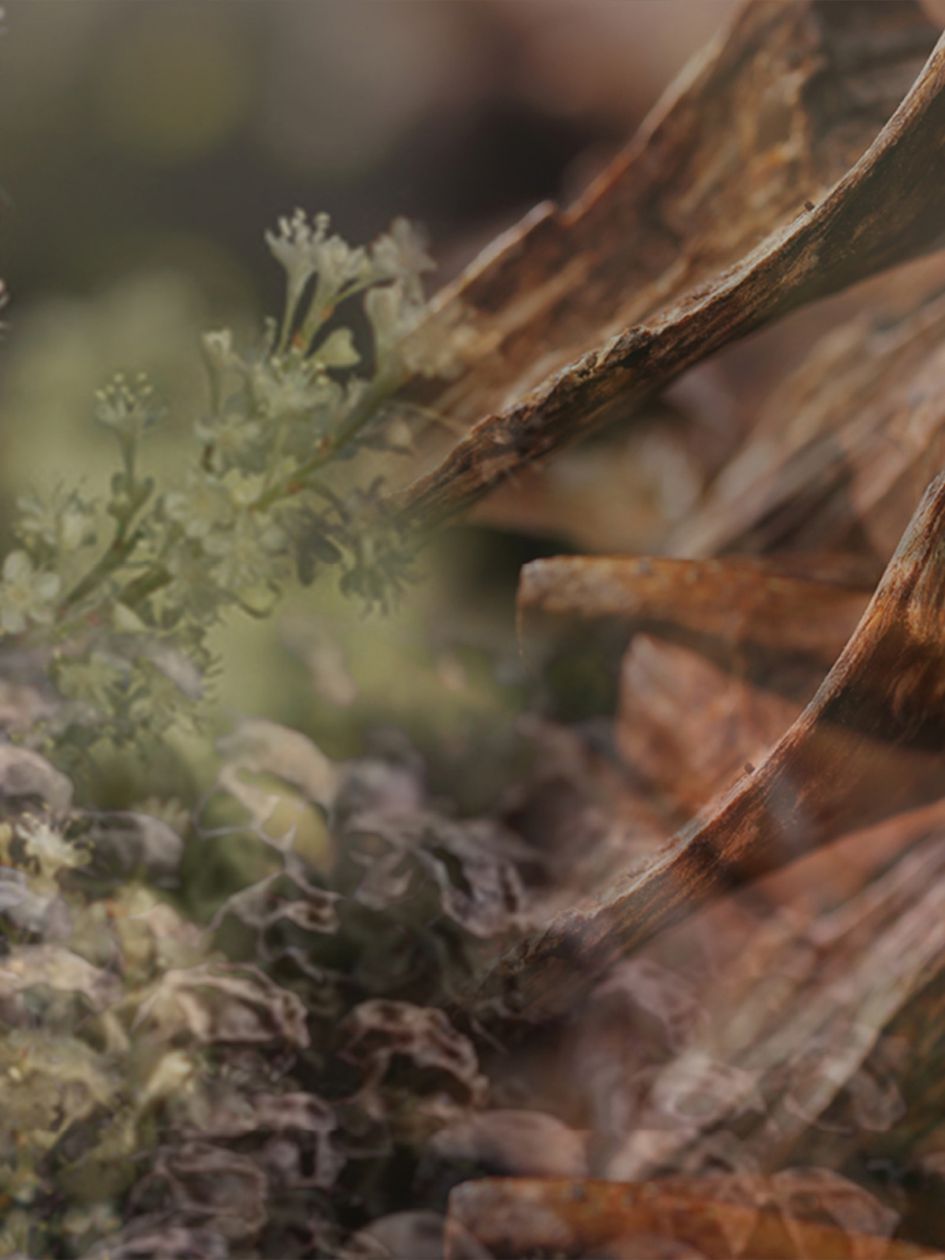 Milano 100ml Home Fragrance Spray