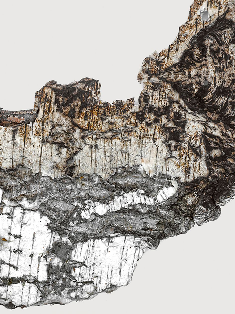 Falcon Leather Extrait de Parfum 100ml