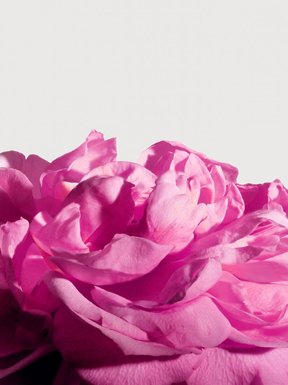 Radical Rose Extrait De Parfum 100ml