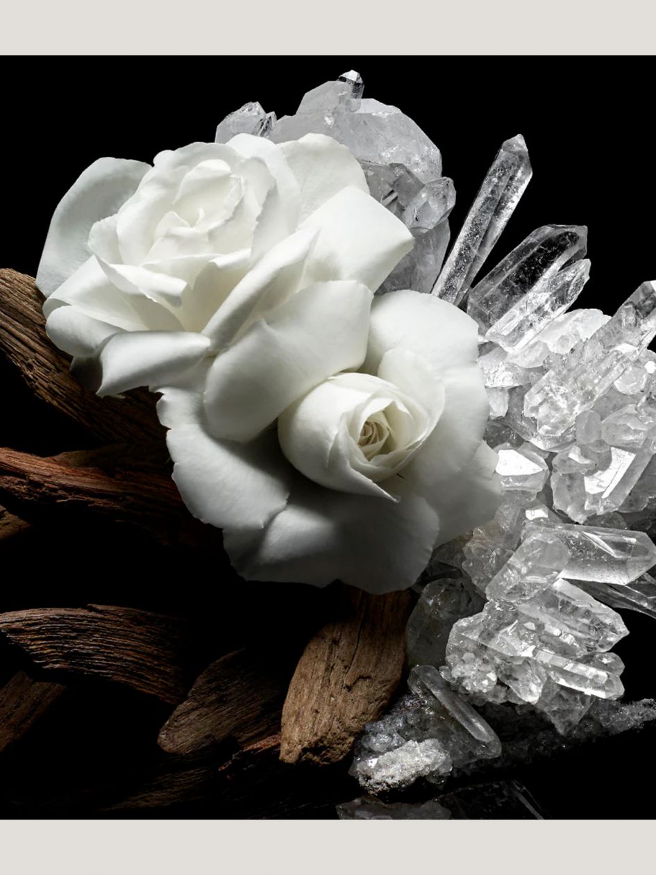 Musk Butterfly Eau De Parfum 50ml