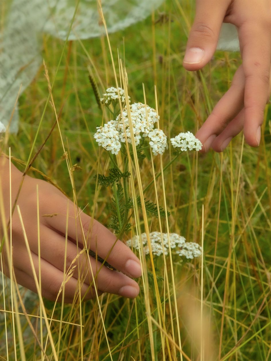 Jade888 Eau de Parfum, 100ml
