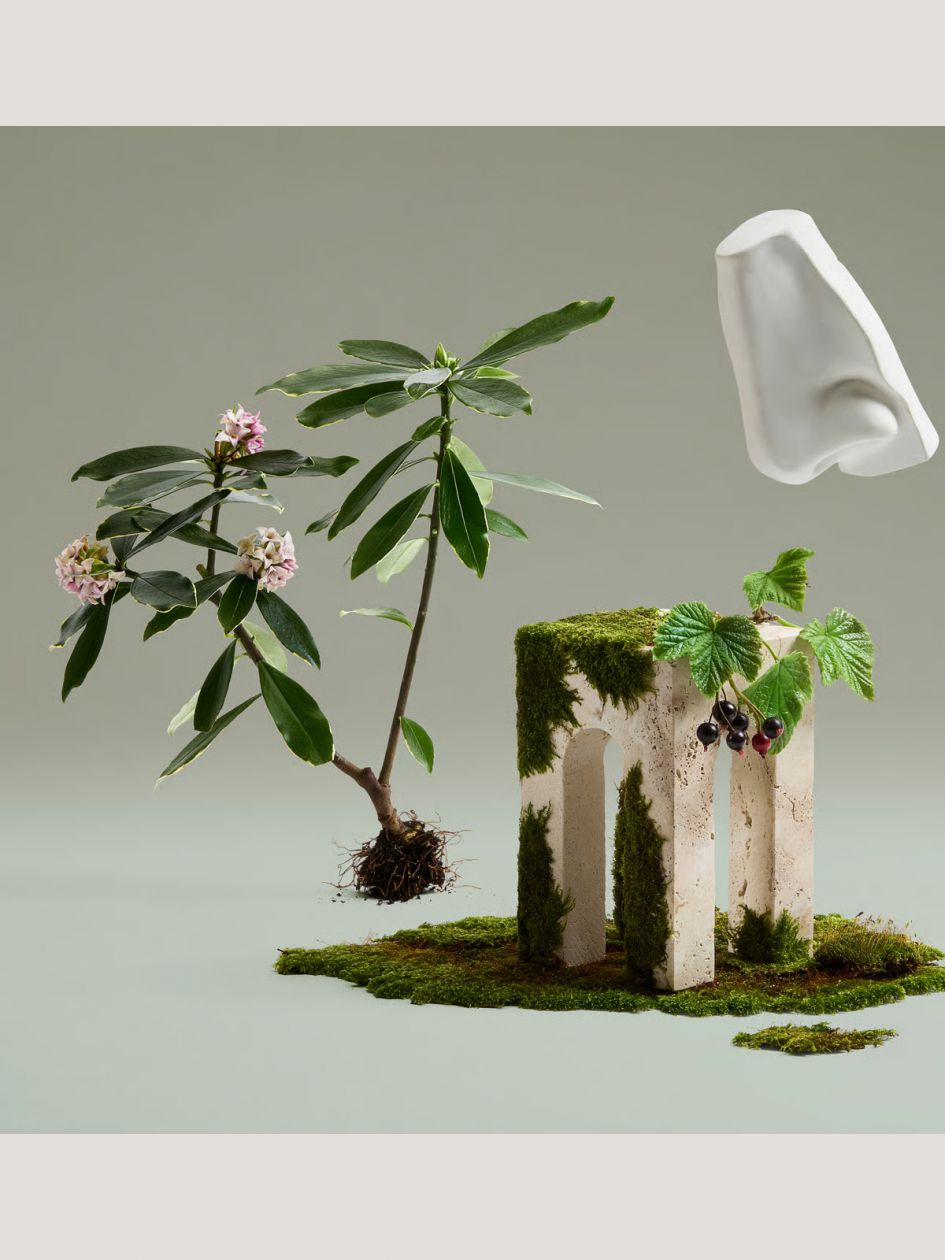 Daphne Bouquet Eau de Parfum 100ml